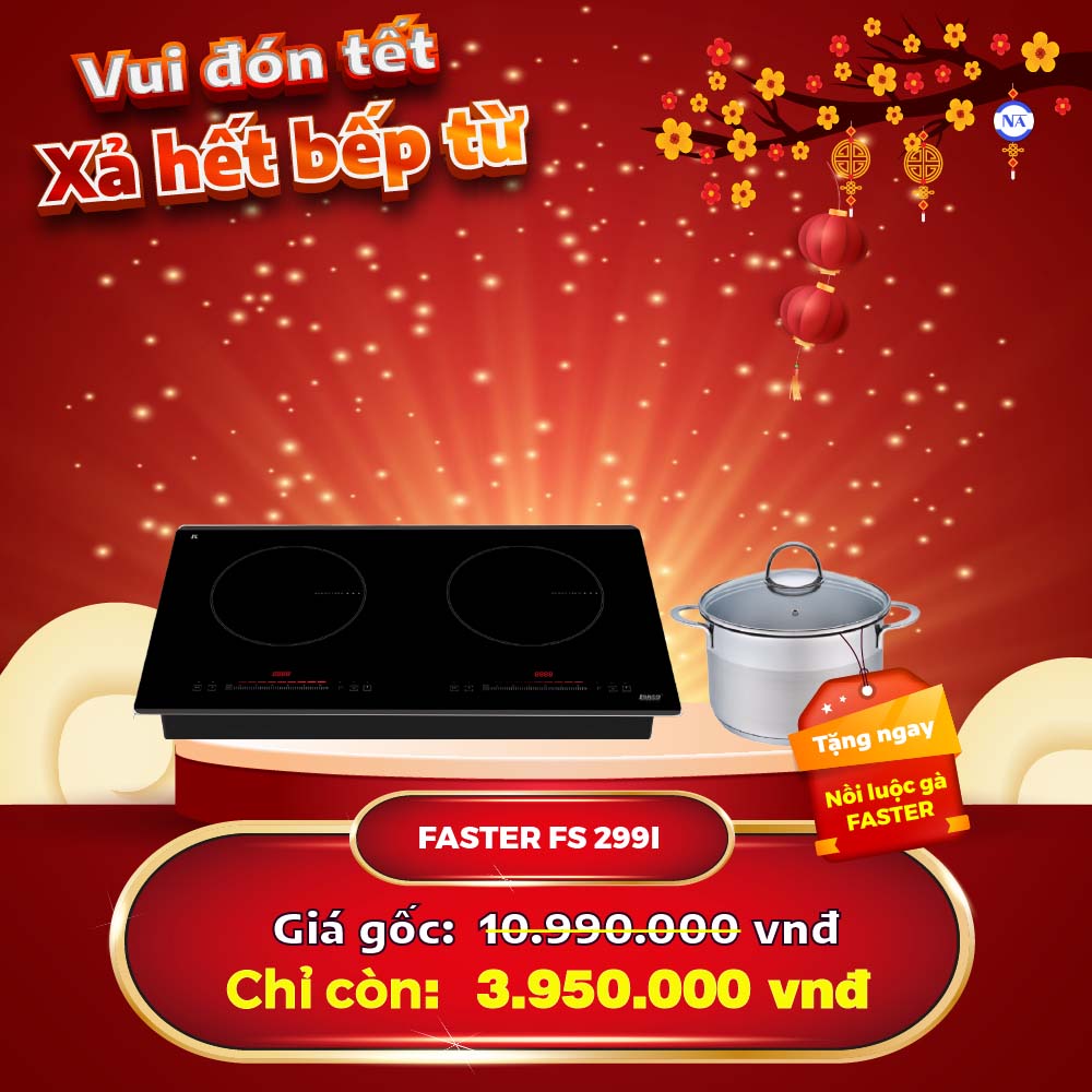 Bếp từ Faster FS-299I